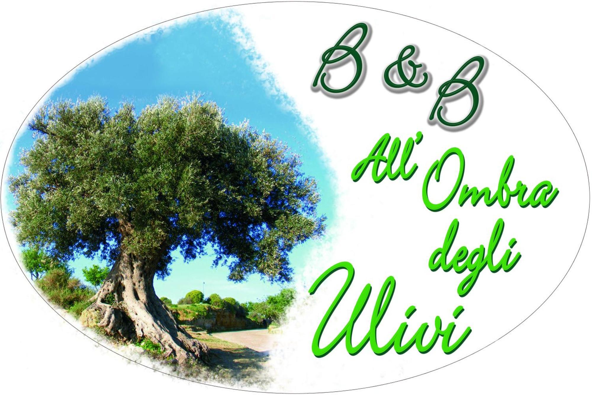B&B All'Ombra Degli Ulivi Ostuni Exterior foto