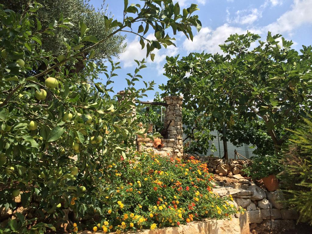 B&B All'Ombra Degli Ulivi Ostuni Exterior foto